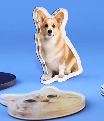 खरीदें हैप्पी गिफ्ट कस्टम मैन्युफैक्चर पेट डिज़ाइन एक्रेलिक फ्रिज मैग्नेट क्यूट एनीमे कस्टमाइज़ेशन होलोग्राफिक प्लास्टिक स्टिकर online manufacture